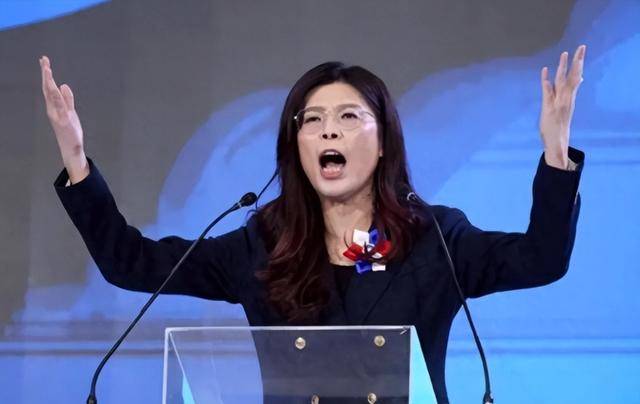 郑丽文：台湾在最危险时刻，两岸必须和平稳定，否则一切都免谈！