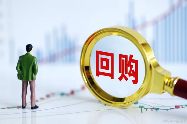 证券会ipo(证券会举报中心电话号码)