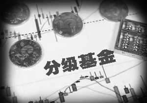 证券基金风险(证券投资基金 风险)