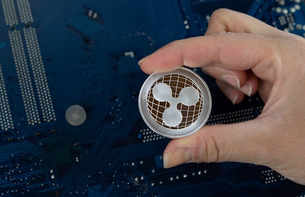 xrp(xr屏幕多少寸)