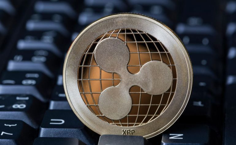 xrp(p65xrp)