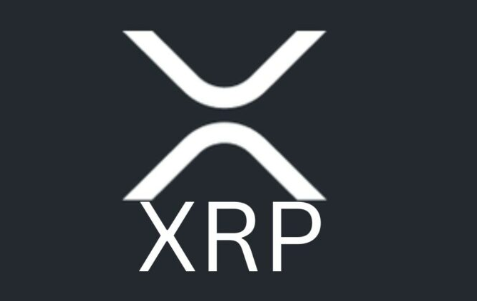 xrp(p65xrp)