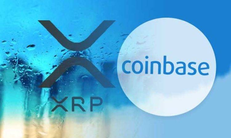 xrp(xr屏幕多大)
