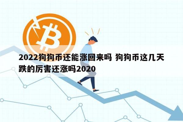 狗狗币今日价格(狗狗币今日价格美元)
