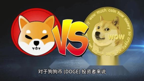 狗狗币最新价格(狗狗币17年到22年涨了多少)