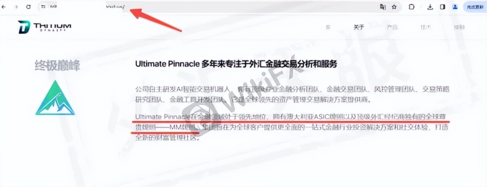 专业外汇平台(专业外汇平台是什么)
