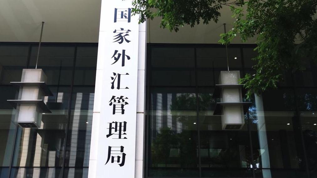 国家外汇网(国家外汇网上怎么申报)