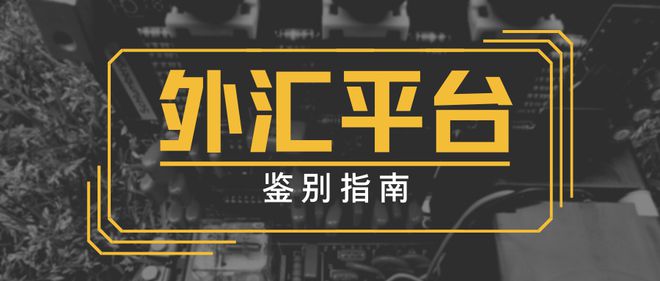 模拟外汇交易平台(模拟外汇交易平台app)