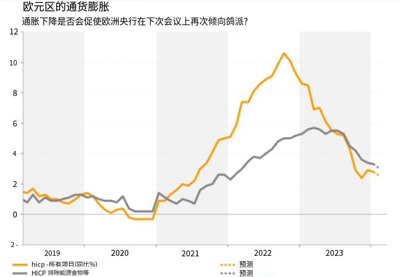 海豚外汇(海豚交易系统赚钱吗)