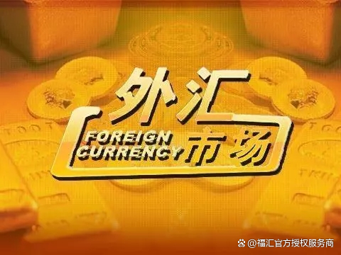 外汇会员(外汇市场会员)