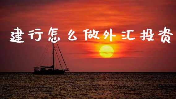 开立外汇账户(开立外汇账户的条件)