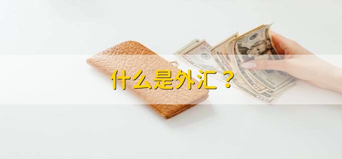 外汇的形成(外汇的来源和用途)