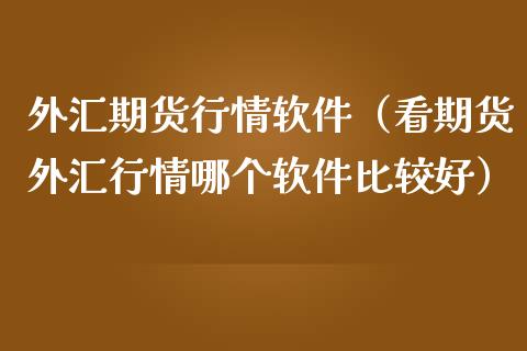 看外汇的软件(看外汇行情的网站)