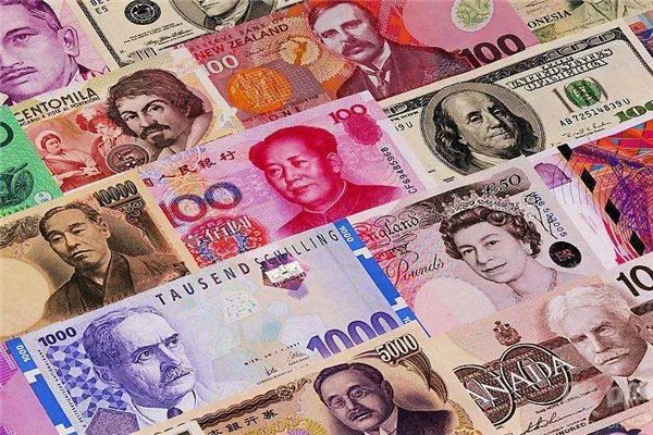 外汇客户资源(外汇客户资源哪里可以买)