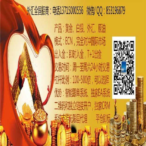 外汇哪里开户(外汇如何开户哪里能开户)