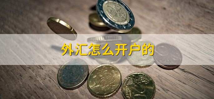 外汇哪里开户(外汇如何开户哪里能开户)