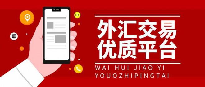 国内外汇交易平台(国内炒外汇用哪个平台)