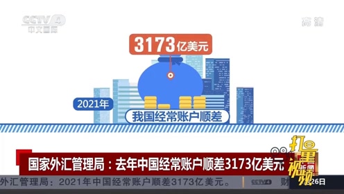 外汇顺差(外汇顺差和逆差的含义是什么)