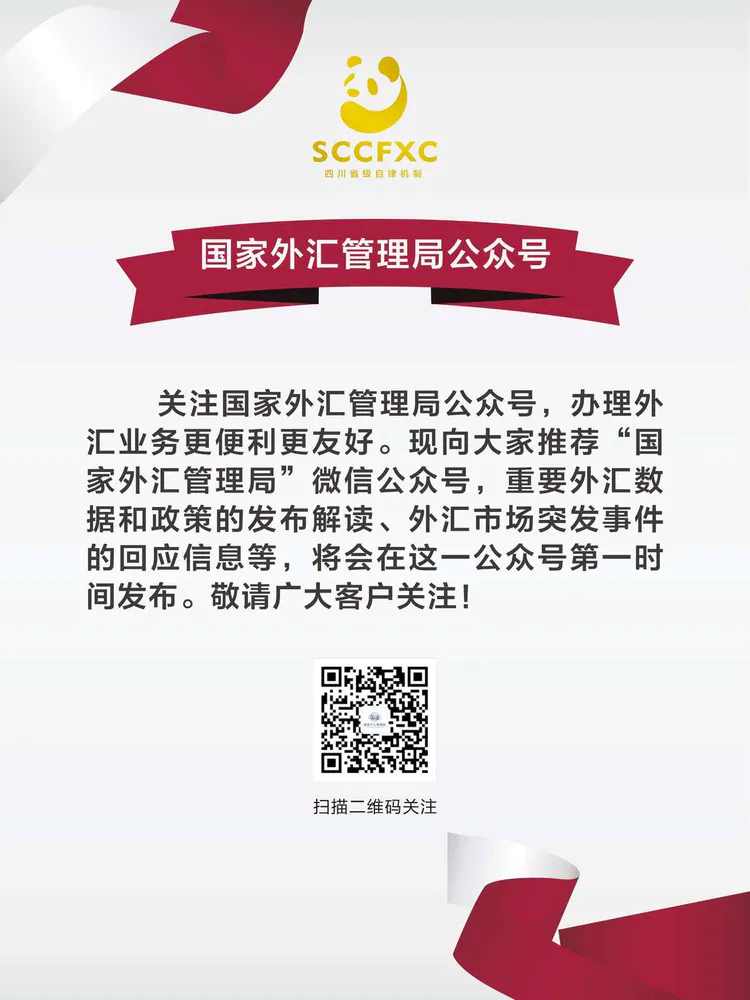 外汇政策宣传(外汇政策宣传活动)