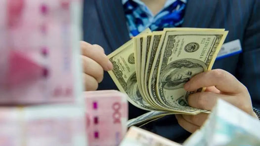 外汇顺差(外汇顺差国)