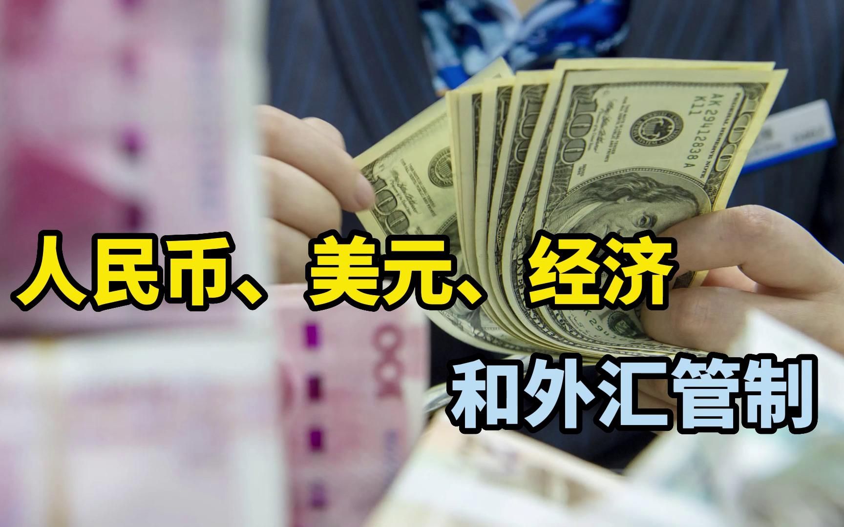外汇管制英文(外汇管控 英文)