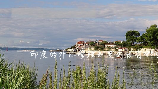 印度的外汇(印度的外汇收入来源)