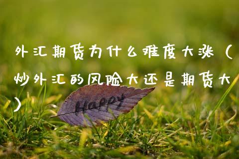 炒外汇风险(投资外汇有风险吗?)