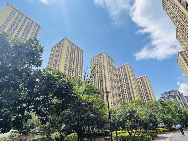 汇和外汇(外汇的汇是什么意思)