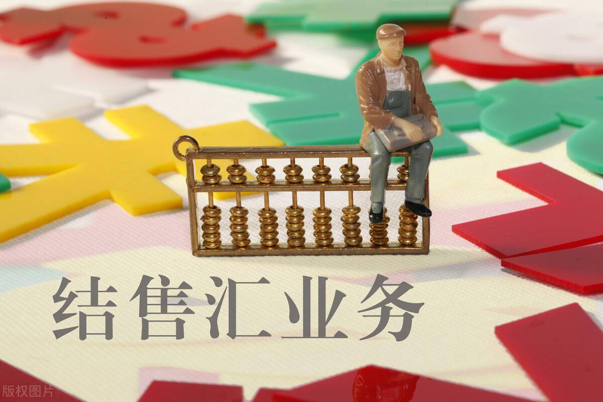 外汇体制(外汇体制改革的目的)