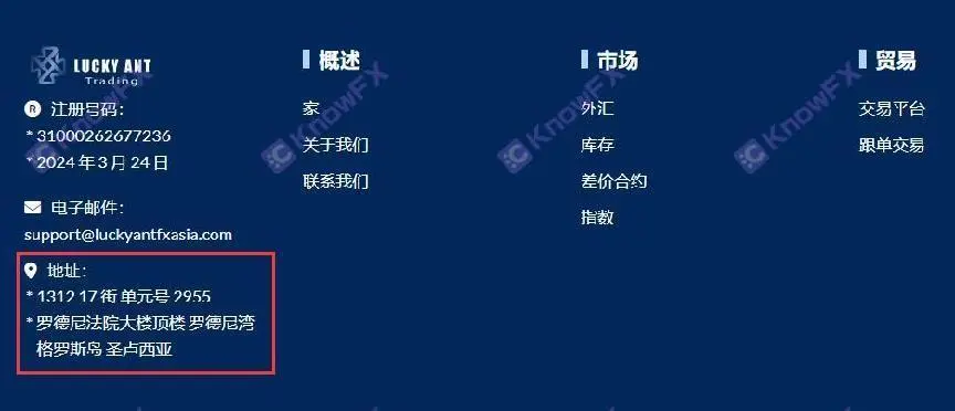 外汇跟单网站(外汇跟单app下载)