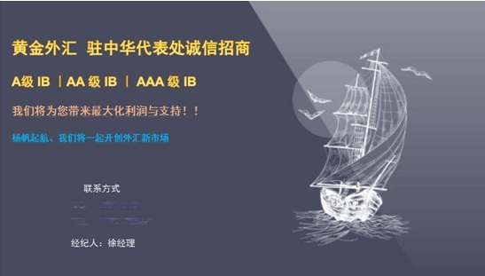 fp外汇(外汇平台正规查询)