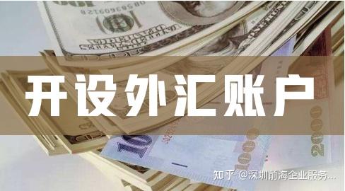 外汇许可证(经营外汇业务许可证)