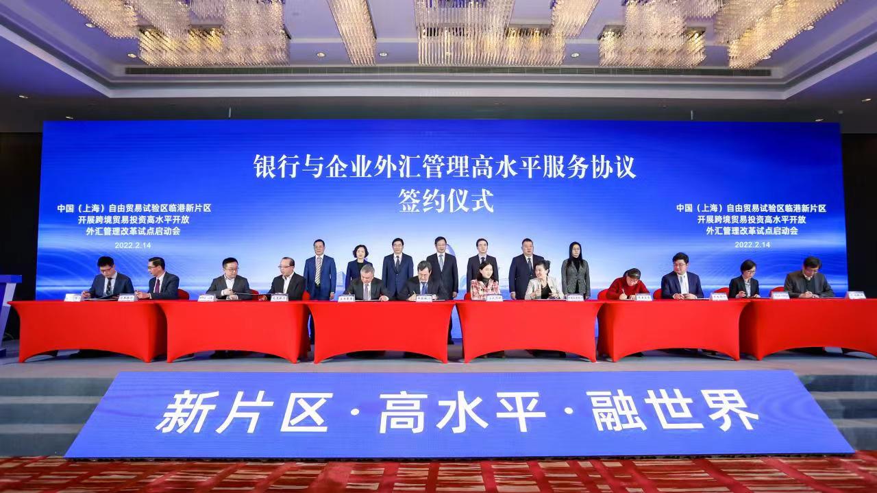 上海的外汇公司(上海外汇公司杨官金)