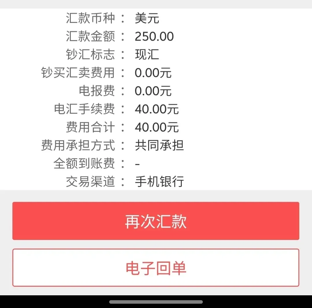 外汇几天到账(外汇多久到账如果迟迟不到怎么处理)