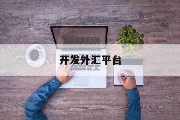 开发外汇平台(开发外汇平台有哪些)